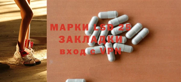 прущие грибы Абаза