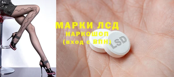 прущие грибы Абаза
