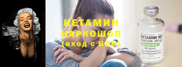 прущие грибы Абаза
