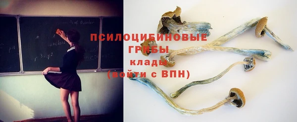 прущие грибы Абаза