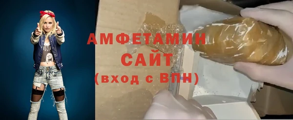 прущие грибы Абаза