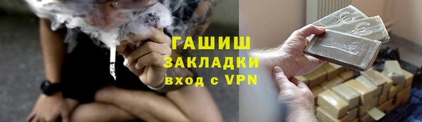 прущие грибы Абаза