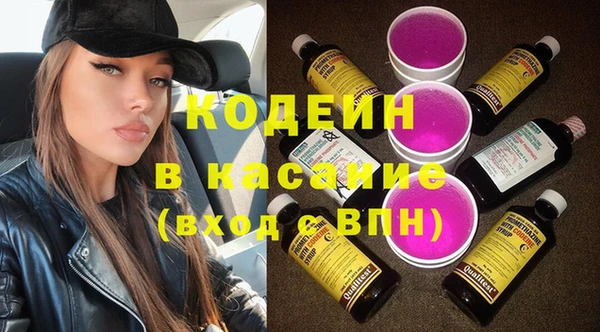 прущие грибы Абаза